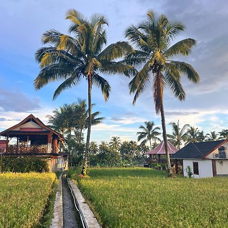 Rice Field Inn - Lombok Tetebatu Exterior foto