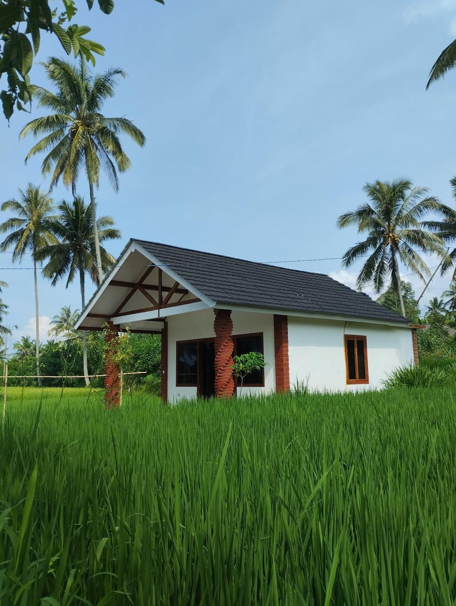 Rice Field Inn - Lombok Tetebatu Cameră foto